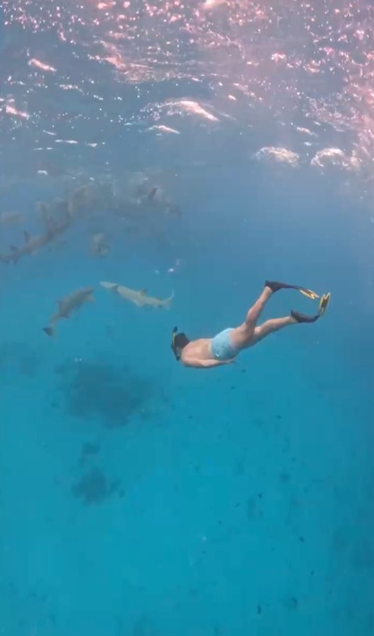 Alejandro Ramírez buceando en aguas cristalinas - aventura y libertad